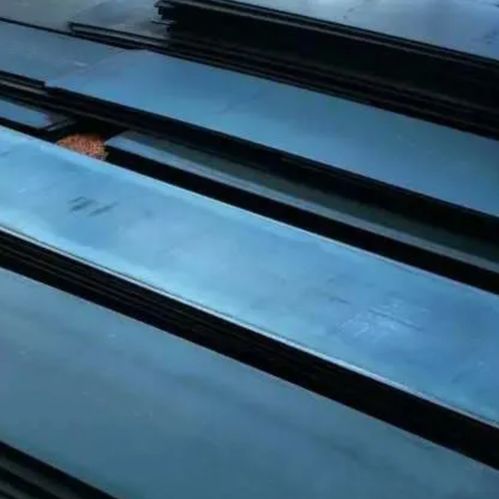 福廈高鐵新動向 我國首座跨海高鐵橋的背后